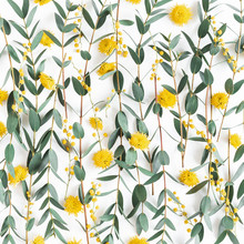 Flowers Composition. Yellow Flowers, Eucalyptus Branches On White Background. Spring Concept. Flat Lay, Top View