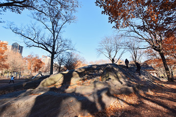 Wall Mural - Sport and recreation in  Central Park, one of the most visited tourist attractions worldwide in  Manhattan, New York 