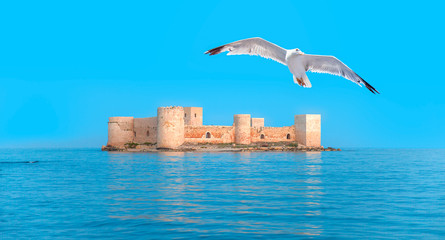 Wall Mural - The maiden's castle (Kiz Kalesi) on the foreground seagull flying - Mersin Turkey