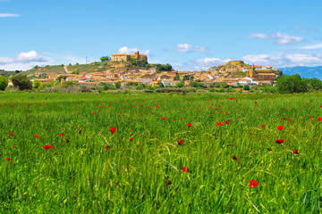 Canvas Print - das mittelalterliche Dorf Ortilla in Aragon, Spain - the medieval town of Ortilla in Aragon