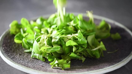 Wall Mural - Mixing green salad falling on stone plate. Top view. Vegan and raw food concept.