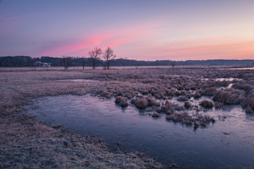 Wall Mural - Dawn over the Pilica backwaters near Przybyszew, Masovia, Poland