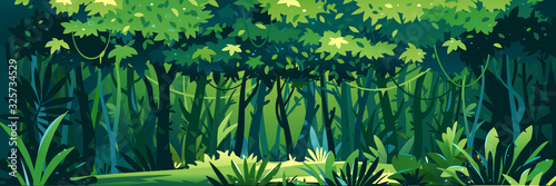 Cuadros en Lienzo Wild wet dark jungle forest with trees, bushes and lianas, nature landscape with