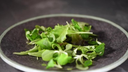 Wall Mural - Vegan and raw food concept. Mixing green salad falling on stone plate. Top view.