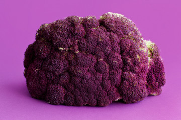 Wall Mural - Fresh raw purple cauliflower on a purple background