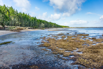 Leadbetter Point  Park Shoreline 2