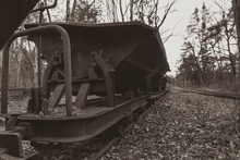 Old Rusty Wagons In A Forest, Abandoned, Narrow-gauge Railway, Abandoned, Dark Photo, Black And White, Mine Carts