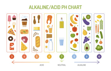 Ph balance chart. Alkaline acid diet concept. Flat style. Vector illustration.