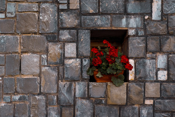 brick wall with window and flower pot