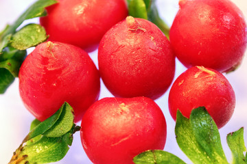 Wall Mural - fresh radish with leaves