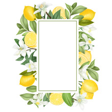 Vertical Frame Of Hand Drawn Blooming Lemon Tree Branches, Flowers, Lemons On White Background