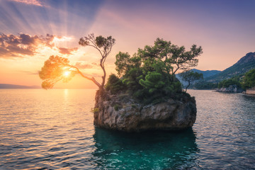 Wall Mural - Beautiful trees with green leaves growing out of the rock at sunset in summer in Croatia. Colorful landscape with blue sea, cliff, mountains and orange sky with sunbeams. Travel. Nature background