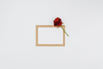 frame of roses and blank card