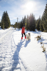 Sticker - happy woman and dog playing in fresh snow