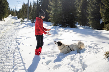 Wall Mural - happy woman and dog playing in fresh snow