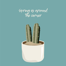 Postcard About Spring With Cactus