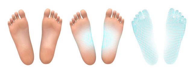 3d illustration,vector foot volume, health and shoe selection