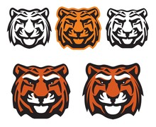 Tiger Free Stock Photo - Public Domain Pictures