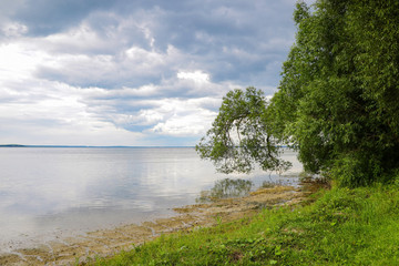 Wall Mural - Shore of a large lake or sea on a cloudy day.