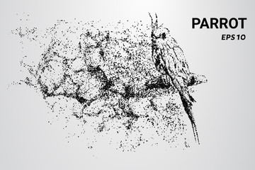 Wall Mural - A parrot made of particles. A parrot consists of circles and dots. The parrot splits into molecules.