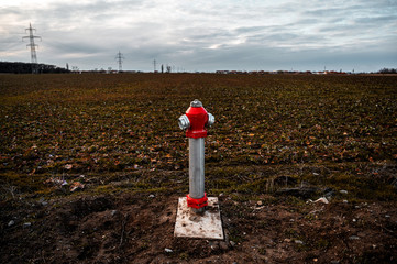 Wall Mural - Wheat in the foreground, while a red fire hydrant in the background with a depth of field.