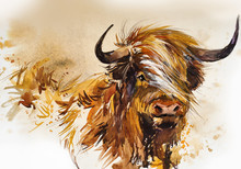 painting-of-a-highland-cow-free-stock-photo-public-domain-pictures