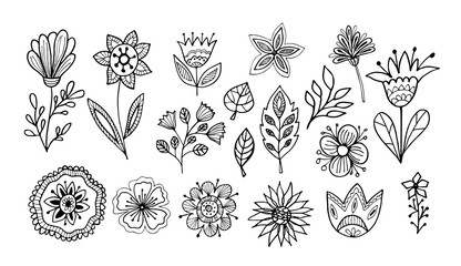 Floral vector illustration. Hand drawing flowers and leaves set on white background. Line art doodles.