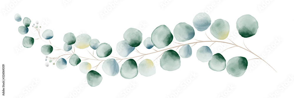 Watercolor green eucalyptus leaves and branches - obrazy, fototapety, plakaty 