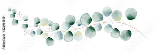 Cuadros en Lienzo Watercolor green eucalyptus leaves and branches