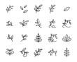 © kornkun - set of sprout icons, leaf, plant, nature, environment
