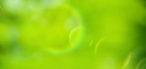 Wall Mural - spring background - abstract banner - green blurred bokeh lights with lens flares