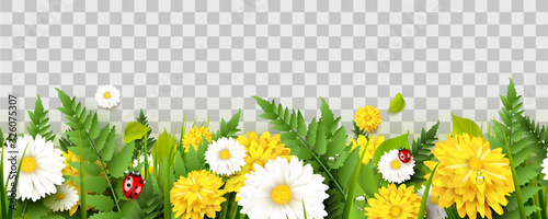 Photographie Spring time seamless border