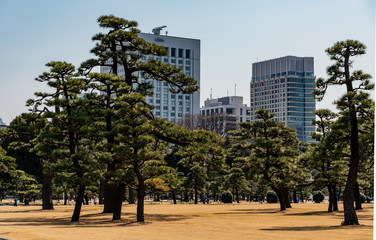 park in tokyo