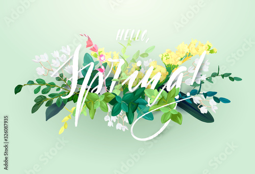 Spring floral eco design with white lily flowers, green leaves, succulent plants and integrated 3d typography. template for poster, flyer, banner or card. Illustrated nature background.