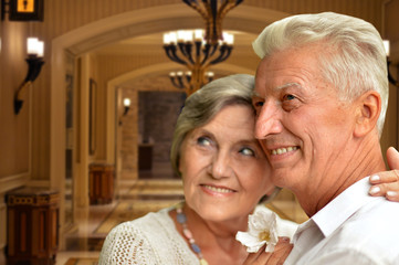 Sticker - Happy senior couple hugging against blurred hotel interior background