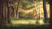 Light And Forest - Afternoon , Anime Background , Illustration.	