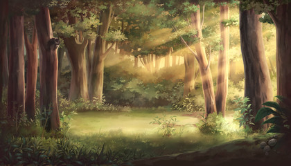 Light and forest - Afternoon , Anime background , Illustration.	
