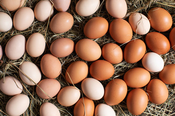 Wall Mural -  Easter background with many chicken eggs on hay