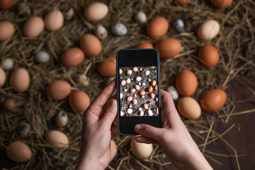 Wall Mural - Making picture of Easter holiday background with eggs