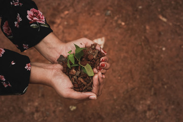 Save nature concept, plant on hand, environmental concept, protect nature, soil with plant in hand