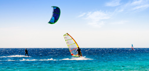 Wall Mural - windsurfers and kitesurfers ride in the Red Sea in Egypt Sharm El Sheikh