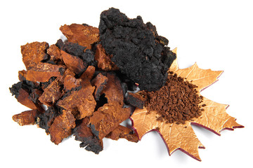 Wall Mural - Chaga Mushroom with Mushroom Powder isolated - Natural Minerals