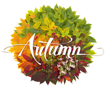 Autumn - calligraphy with photo