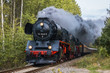 German operating steam locomotives on Czech railways