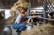 Woman worker with hay working on diary farm, agriculture industry.