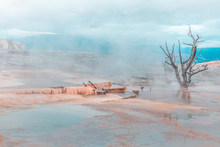 Moody, Foggy Hot Spring Pool, Mammoth Hot Springs, Yellowstone National Park