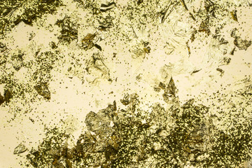 Poster - gold leaf paper pattern texture with gold background 