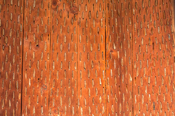 Wall Mural - Bottom view of Spanish threshing board closeup as rural wooden background