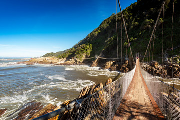 Wall Mural - Suspension bridge in Tsitsikamma nation park, South Africa, with coast line in background