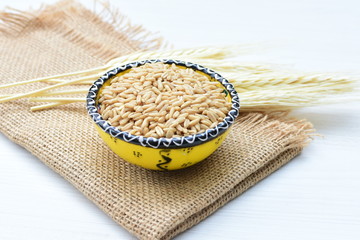 natural oat grains in containers